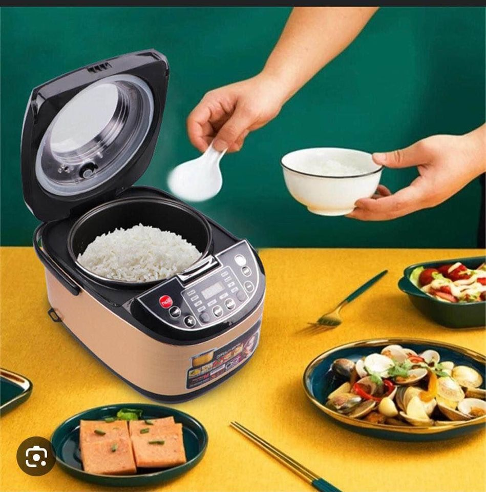 5 cup Multicooker and deep fryer