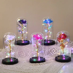 Enchanted LED Rose Dome