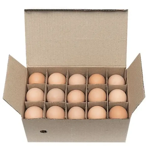 Brown Egg