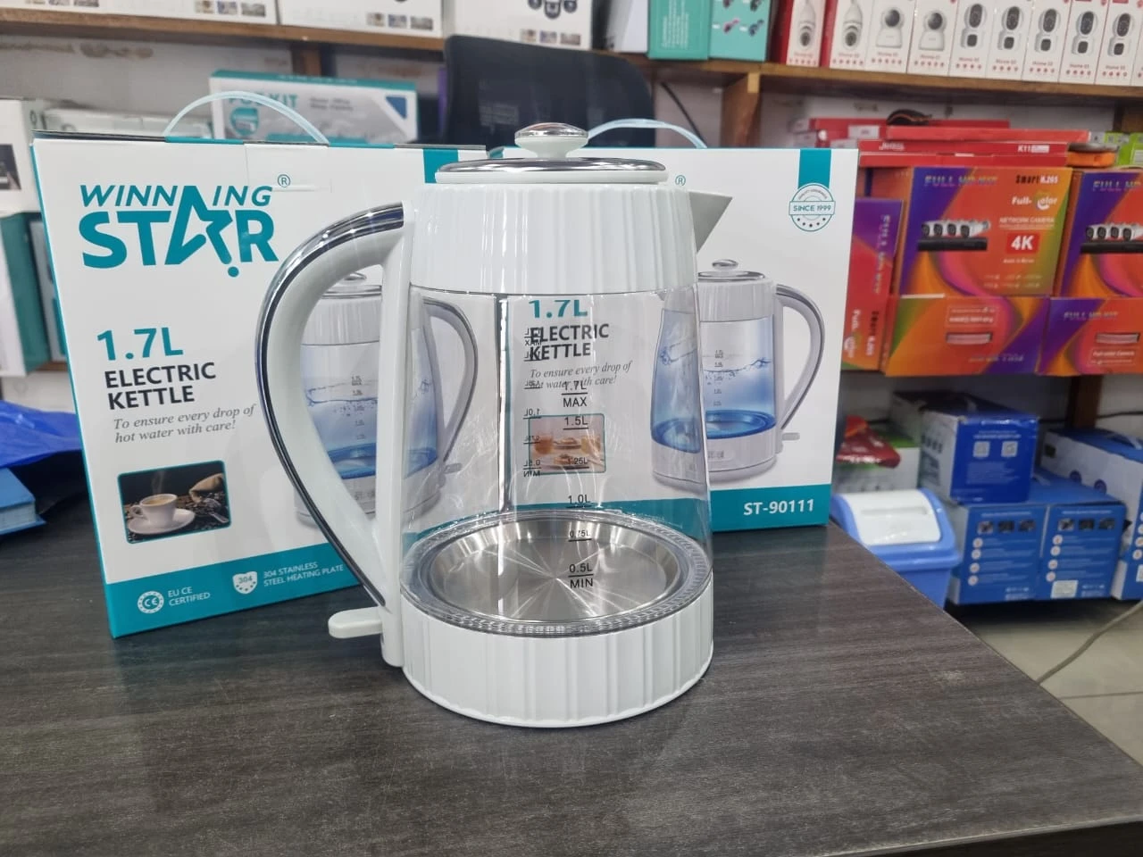 Electric Water Kettle
